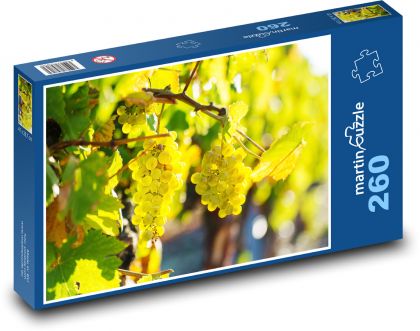 Hroznové víno - puzzle 260 dílků