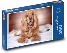 Anglický kokršpaněl Puzzle 260 dílků - 41 x 28,7 cm