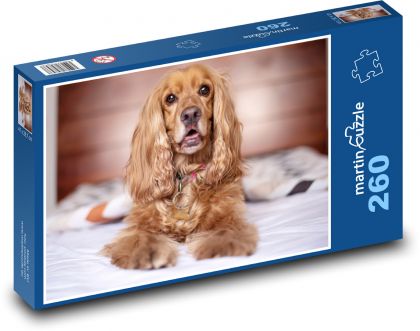 English Cocker Spaniel - Puzzle 260 pieces, size 41x28.7 cm 