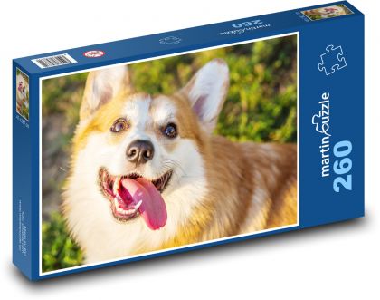 Corgi dog with tongue sticking out - Puzzle 260 pieces, size 41x28.7 cm 
