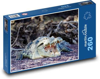 Crocodylus - Puzzle 260 pieces, size 41x28.7 cm 