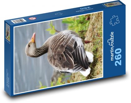 Hus - vták - Puzzle 260 dielikov, rozmer 41x28,7 cm