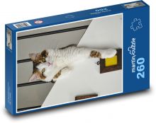 Kočka domací Puzzle 260 dílků - 41 x 28,7 cm