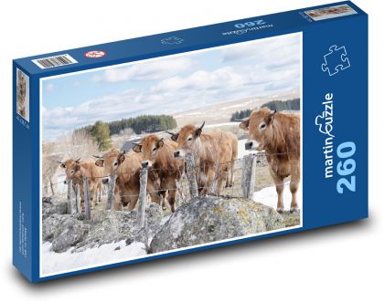 Winter - Kuh - Puzzle - 260 Teile