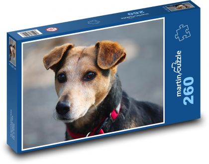 Mixed breed dog - Puzzle 260 pieces, size 41x28.7 cm 
