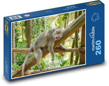 Indonesia - Bali, monkey - Puzzle 260 pieces, size 41x28.7 cm 
