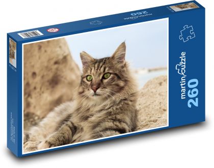 Mačka s dlhou bradou - Puzzle 260 dielikov, rozmer 41x28,7 cm