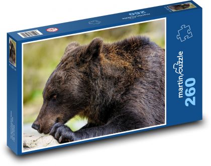 Niedźwiedź brunatny - Puzzle 260 elementów, rozmiar 41x28,7 cm
