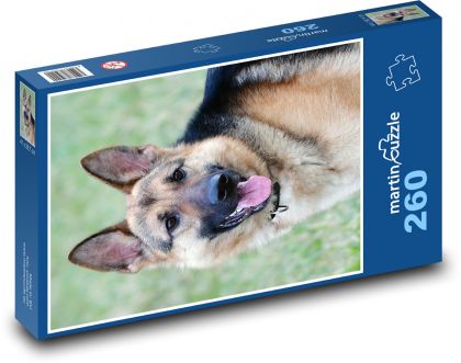 Německý ovčák - pes - puzzle 260 dílků