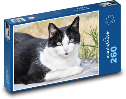 Čierno-biela mačka - Puzzle 260 dielikov, rozmer 41x28,7 cm
