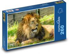 Lev - velká kočka Puzzle 260 dílků - 41 x 28,7 cm