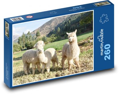 Peru - Alpaka - Puzzle 260 elementów, rozmiar 41x28,7 cm