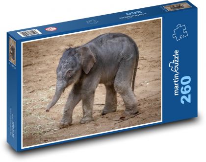 Slon - mládě - puzzle 260 dílků