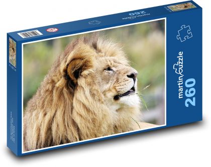 Löwe - Großkatze - Puzzle - 260 Teile