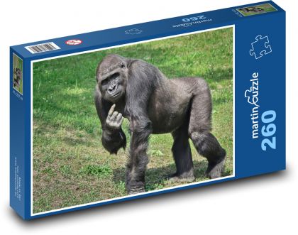 Gorilla - monkey - Puzzle 260 pieces, size 41x28.7 cm 