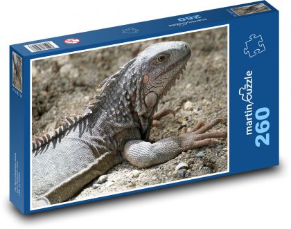 Leguán - jašterica - Puzzle 260 dielikov, rozmer 41x28,7 cm