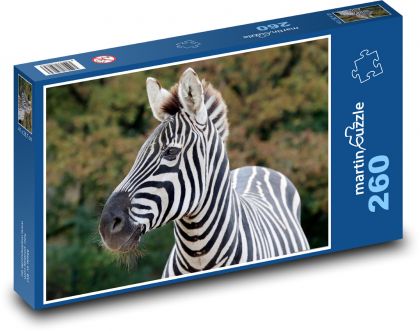 Zebra - Puzzle 260 dielikov, rozmer 41x28,7 cm