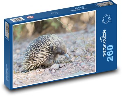 Spiny anteater - Puzzle 260 pieces, size 41x28.7 cm 