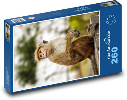 Opica - makak - Puzzle 260 dielikov, rozmer 41x28,7 cm