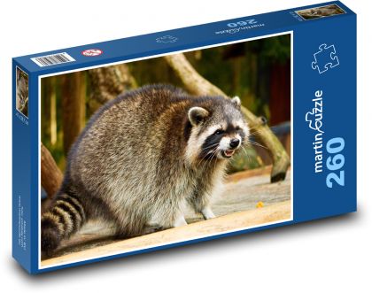 Raccoon. - Puzzle 260 pieces, size 41x28.7 cm 