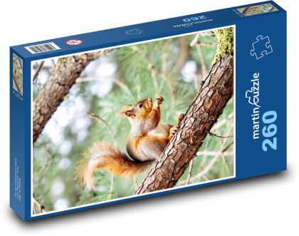Squirrel in a tree - Puzzle 260 pieces, size 41x28.7 cm 