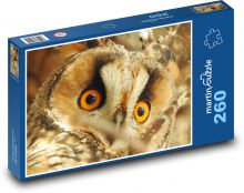 Eared owl Puzzle 260 pieces - 41 x 28.7 cm 