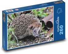 Ježek v přírodě Puzzle 260 dílků - 41 x 28,7 cm