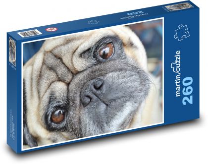 Mops - pes - puzzle 260 dílků