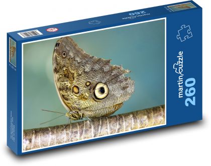 Obří motýl - puzzle 260 dílků
