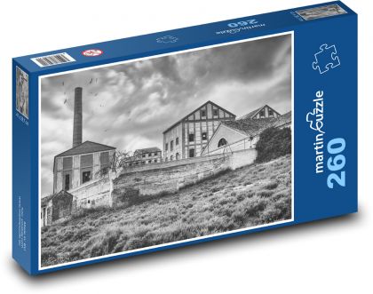 Opustená továreň - Puzzle 260 dielikov, rozmer 41x28,7 cm