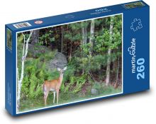 Lesní zvěř Puzzle 260 - 41x28,7 cm