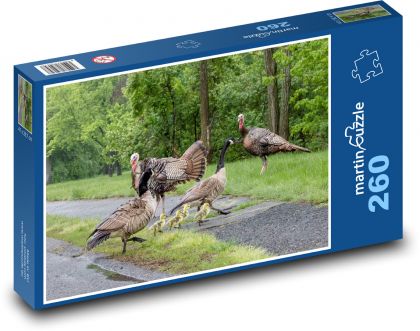 Moriak - kačica - Puzzle 260 dielikov, rozmer 41x28,7 cm