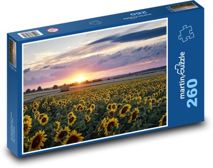 Západ slnka - slnečnica - Puzzle 260 dielikov, rozmer 41x28,7 cm