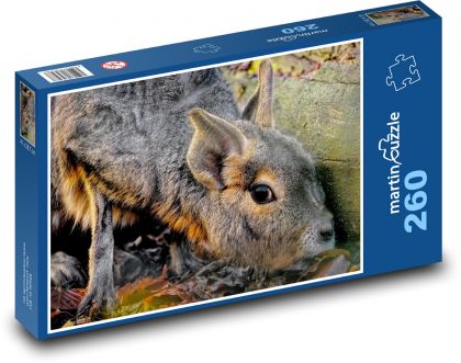 Steppe mara - rodent - Puzzle 260 pieces, size 41x28.7 cm 