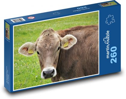 Krowa na łące wysokogórskiej - Puzzle 260 elementów, rozmiar 41x28,7 cm