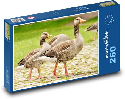 Divoké husy - puzzle 260 dílků
