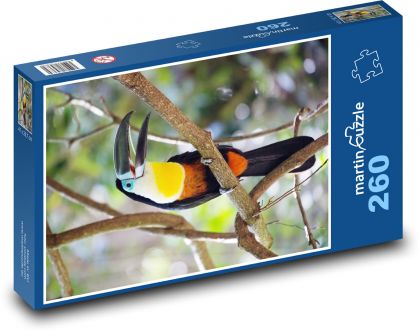 Tukan - Puzzle - 260 Teile