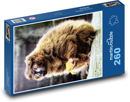Lemur červenobrušný - Puzzle 260 dielikov, rozmer 41x28,7 cm