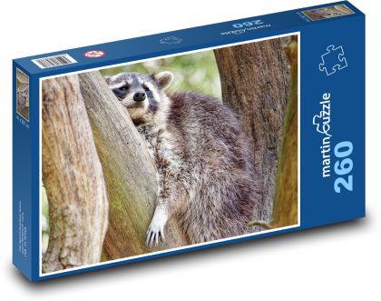 Szop na drzewie - Puzzle 260 elementów, rozmiar 41x28,7 cm