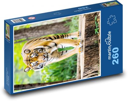 Tygrys w lesie - Puzzle 260 elementów, rozmiar 41x28,7 cm