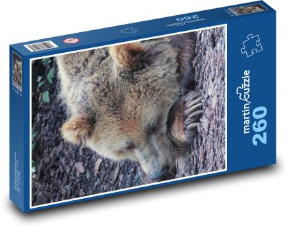 Schlafender Bär - Puzzle - 260 Teile