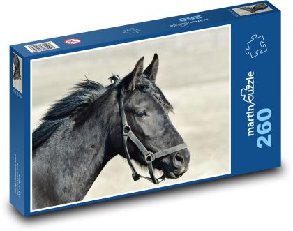 Na čiernom koni! - Puzzle 260 dielikov, rozmer 41x28,7 cm