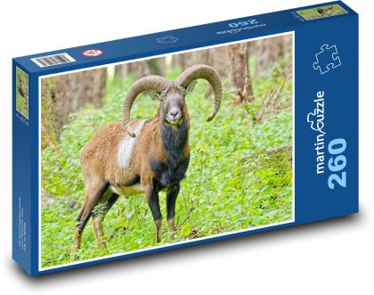 Muflon v lese - puzzle 260 dílků