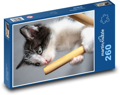 Mačka - mačiatko - Puzzle 260 dielikov, rozmer 41x28,7 cm