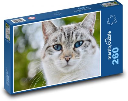 Kočka - puzzle 260 dílků
