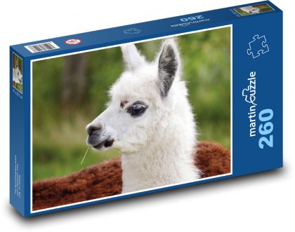 Lama - Alpaka - puzzle 260 dílků