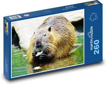 Nutria - Puzzle - 260 Teile