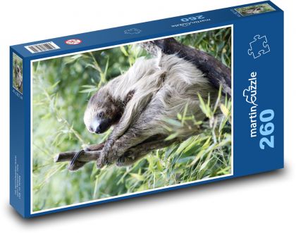 Lenochod - puzzle 260 dílků