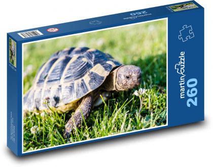 Želva - puzzle 260 dílků