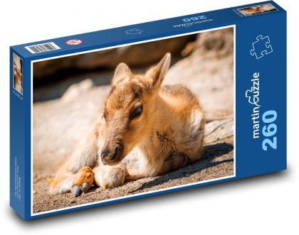 Fínske lesné soby - Puzzle 260 dielikov, rozmer 41x28,7 cm
